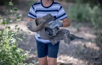 Educar desde la infancia, pilar fundamental para el futuro del medio ambiente