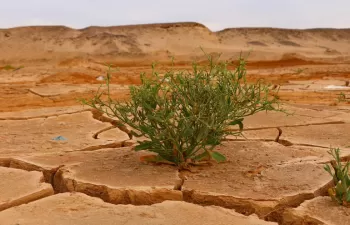 Los límites del miedo en la narrativa del cambio climático