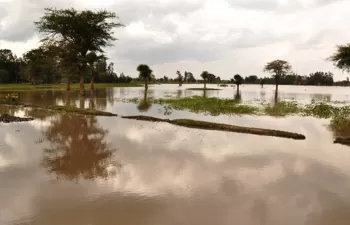 El patrón de las crecidas de los ríos en Europa cambia con el cambio climático