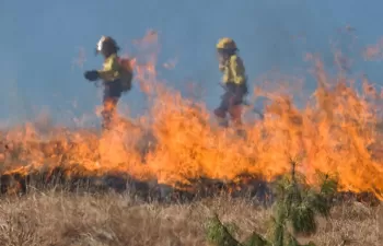 Australia arde mientras sus dirigentes se aferran al carbón