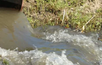 Ichnaea, el software español capaz de rastrear el origen de la contaminación fecal en el agua de mares, embalses y ríos