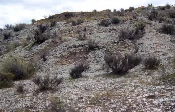 Las costras biológicas del suelo mejoran el equilibrio del agua en los ecosistemas semiáridos